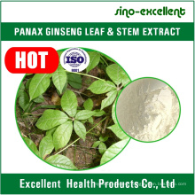 Panax Ginseng Stem & Leaf Extract
